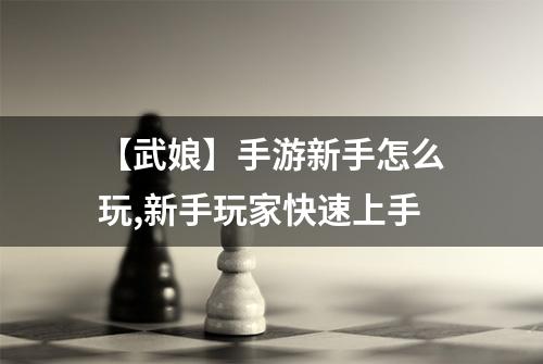 【武娘】手游新手怎么玩,新手玩家快速上手