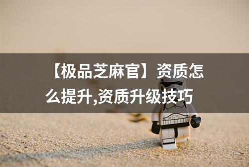 【极品芝麻官】资质怎么提升,资质升级技巧