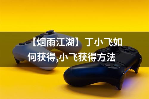 【烟雨江湖】丁小飞如何获得,小飞获得方法