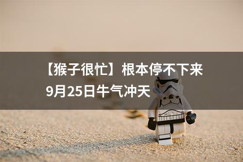 【猴子很忙】根本停不下来  9月25日牛气冲天