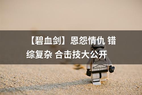 【碧血剑】恩怨情仇 错综复杂 合击技大公开