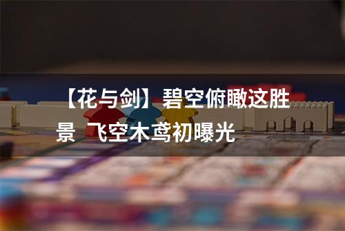 【花与剑】碧空俯瞰这胜景  飞空木鸢初曝光