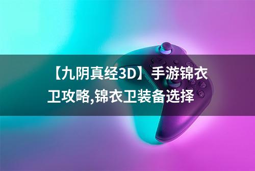 【九阴真经3D】手游锦衣卫攻略,锦衣卫装备选择
