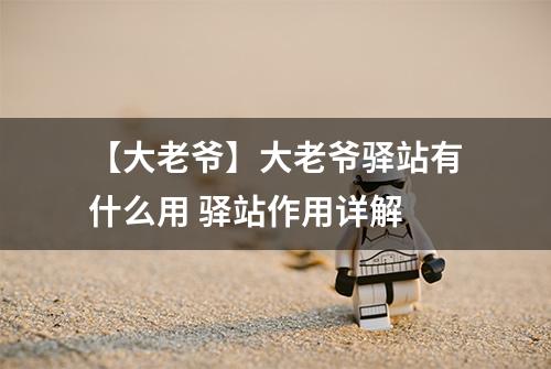 【大老爷】大老爷驿站有什么用 驿站作用详解