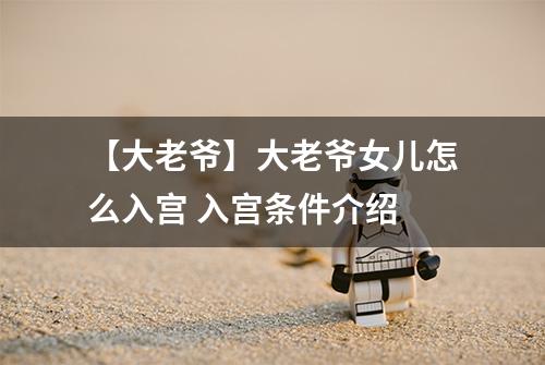 【大老爷】大老爷女儿怎么入宫 入宫条件介绍