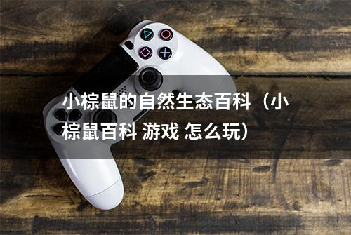 小棕鼠的自然生态百科（小棕鼠百科 游戏 怎么玩）