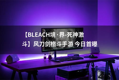【BLEACH境·界-死神激斗】风刀剑格斗手游 今日首曝