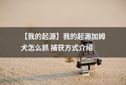 【我的起源】我的起源加姆犬怎么抓 捕获方式介绍