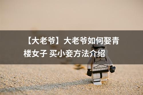 【大老爷】大老爷如何娶青楼女子 买小妾方法介绍