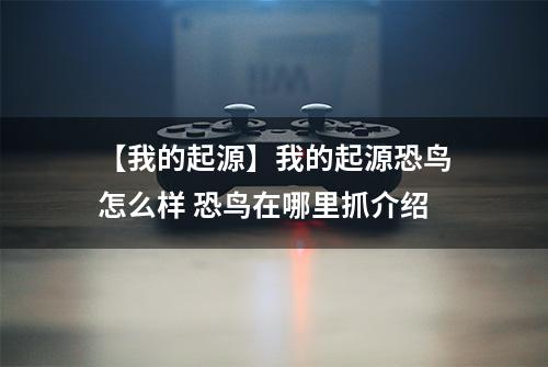 【我的起源】我的起源恐鸟怎么样 恐鸟在哪里抓介绍