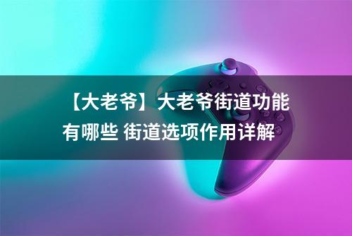 【大老爷】大老爷街道功能有哪些 街道选项作用详解