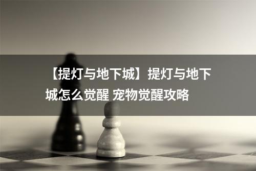 【提灯与地下城】提灯与地下城怎么觉醒 宠物觉醒攻略