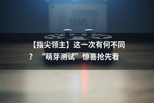 【指尖领主】这一次有何不同？ “萌芽测试”惊喜抢先看