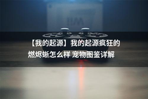 【我的起源】我的起源疯狂的燃烬蜥怎么样 宠物图鉴详解