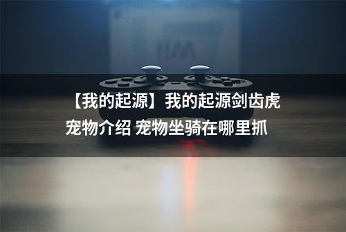 【我的起源】我的起源剑齿虎宠物介绍 宠物坐骑在哪里抓