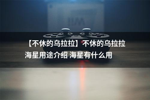 【不休的乌拉拉】不休的乌拉拉海星用途介绍 海星有什么用