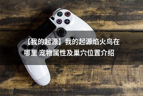 【我的起源】我的起源焰火鸟在哪里 宠物属性及巢穴位置介绍