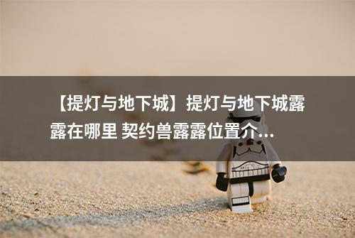 【提灯与地下城】提灯与地下城露露在哪里 契约兽露露位置介绍