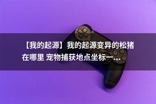【我的起源】我的起源变异的松猪在哪里 宠物捕获地点坐标一览