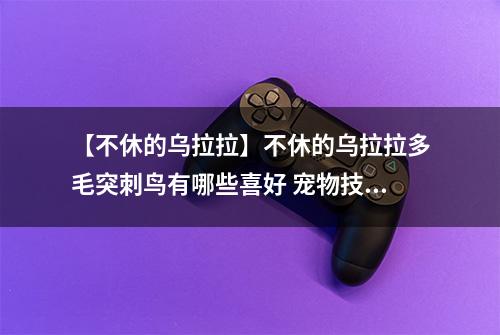 【不休的乌拉拉】不休的乌拉拉多毛突刺鸟有哪些喜好 宠物技能属性数据图鉴