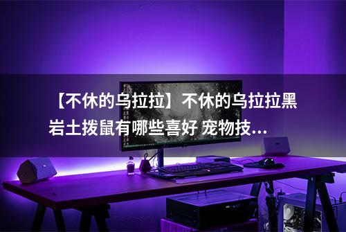 【不休的乌拉拉】不休的乌拉拉黑岩土拨鼠有哪些喜好 宠物技能属性数据图鉴