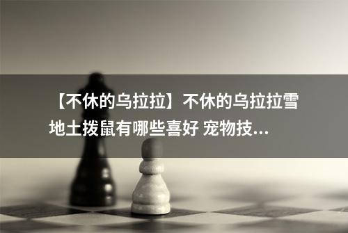 【不休的乌拉拉】不休的乌拉拉雪地土拨鼠有哪些喜好 宠物技能属性数据图鉴