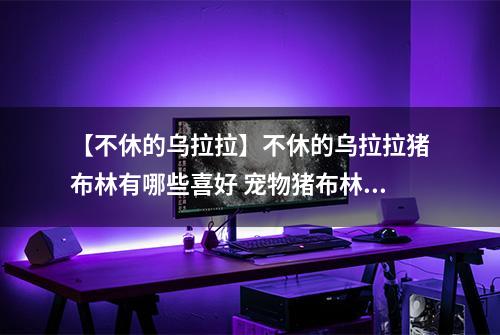 【不休的乌拉拉】不休的乌拉拉猪布林有哪些喜好 宠物猪布林技能属性数据图鉴
