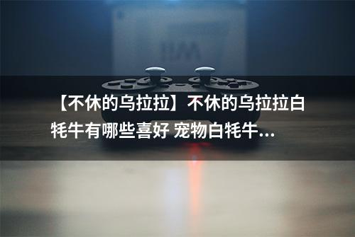 【不休的乌拉拉】不休的乌拉拉白牦牛有哪些喜好 宠物白牦牛技能属性数据图鉴